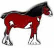 Horse Badge